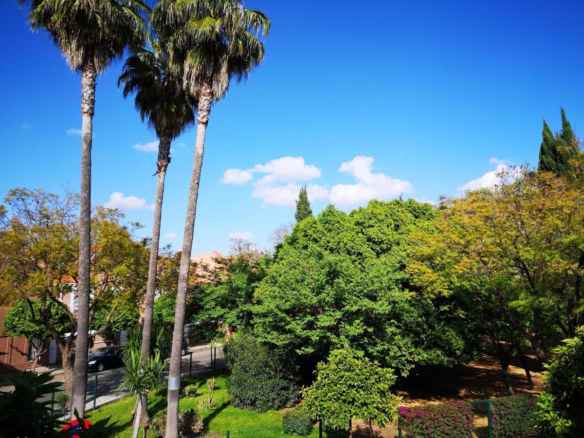 Bright Modern Residencial - Single With Shared Bathroom Near Airport Privatunterkunft *
